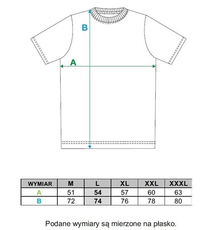 T-Shirt Koszulka Walentynki PREZENT MORAJ