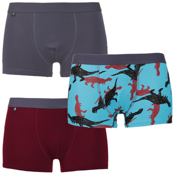 Bokserki Chłopięce Majtki MORAJ 3 pak