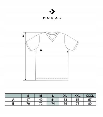 Koszulka męska T-Shirt Bawełna PREMIUM MORAJ