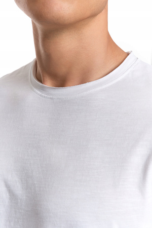 T-SHIRT MĘSKI Z KRÓTKIM RĘKAWEM GŁADKA KOSZULKA BAWEŁNIANA BLUZKA MORAJ 