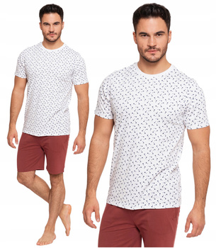 T-Shirt Męski Klasyczny Bawełniany Krótki Rękaw Okrągły Dekolt MORAJ