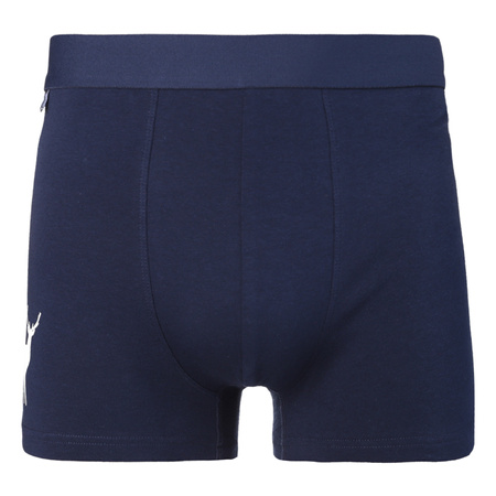 ZESTAW ŚWIĄTECZNY BOKSERKI SKARPETY PREZENT NA ŚWIĘTA MIKOŁAJKI MORAJ