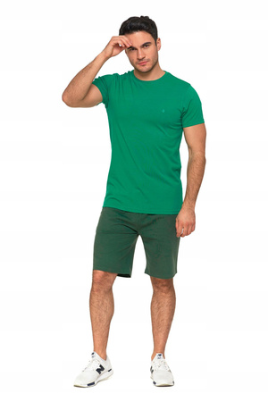 T-SHIRT PREMIUM MĘSKI Koszulka Gładka Bluzka z Haftem Logo MORAJ 