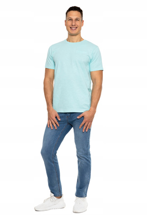 T-Shirt Męski Koszulka Klasyczna Bawełna MORAJ