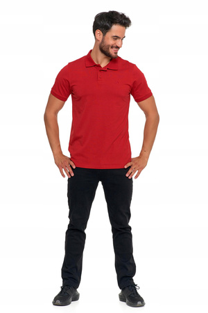 Koszulka Polo Męska Elegancka Klasyczna Gładka Bawełna Premium MORAJ