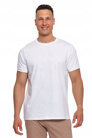 T-SHIRT MĘSKI Z KRÓTKIM RĘKAWEM GŁADKA KOSZULKA BAWEŁNIANA BLUZKA MORAJ 