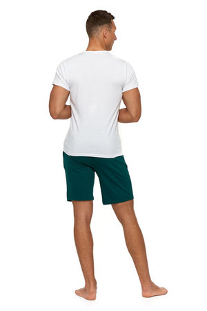 PODKOSZULKA KOSZULKA MĘSKA 100 % BAWEŁNA T-SHIRT NA KRÓTKI RĘKAW MORAJ 