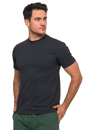 T-Shirt Męski Klasyczny Bawełniany na Krótki Rękaw Modne Wzory MORAJ 