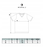 Koszulka męska T-Shirt Bawełna PREMIUM MORAJ