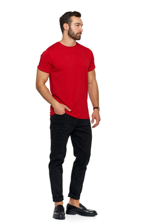 T-Shirt Męski Koszulka PREMIUM na Krótki Rękaw Bawełna Czesana MORAJ