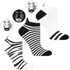 Skarpetki Stopki Damskie Niskie Skarpety ZEBRA Urocze MORAJ 3-PAK 