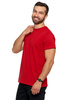 T-Shirt Męski Koszulka PREMIUM na Krótki Rękaw Bawełna Czesana MORAJ