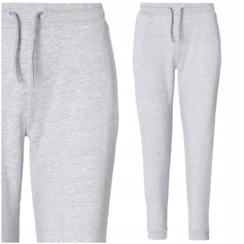 Dresowe Spodnie Damskie Ocieplane Joggery Gładkie Szare Klasyczne MORAJ