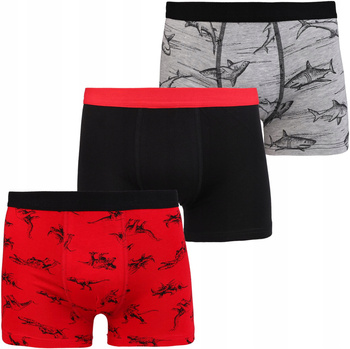 Bokserki Majtki Chłopięce MORAJ 3 PAK 